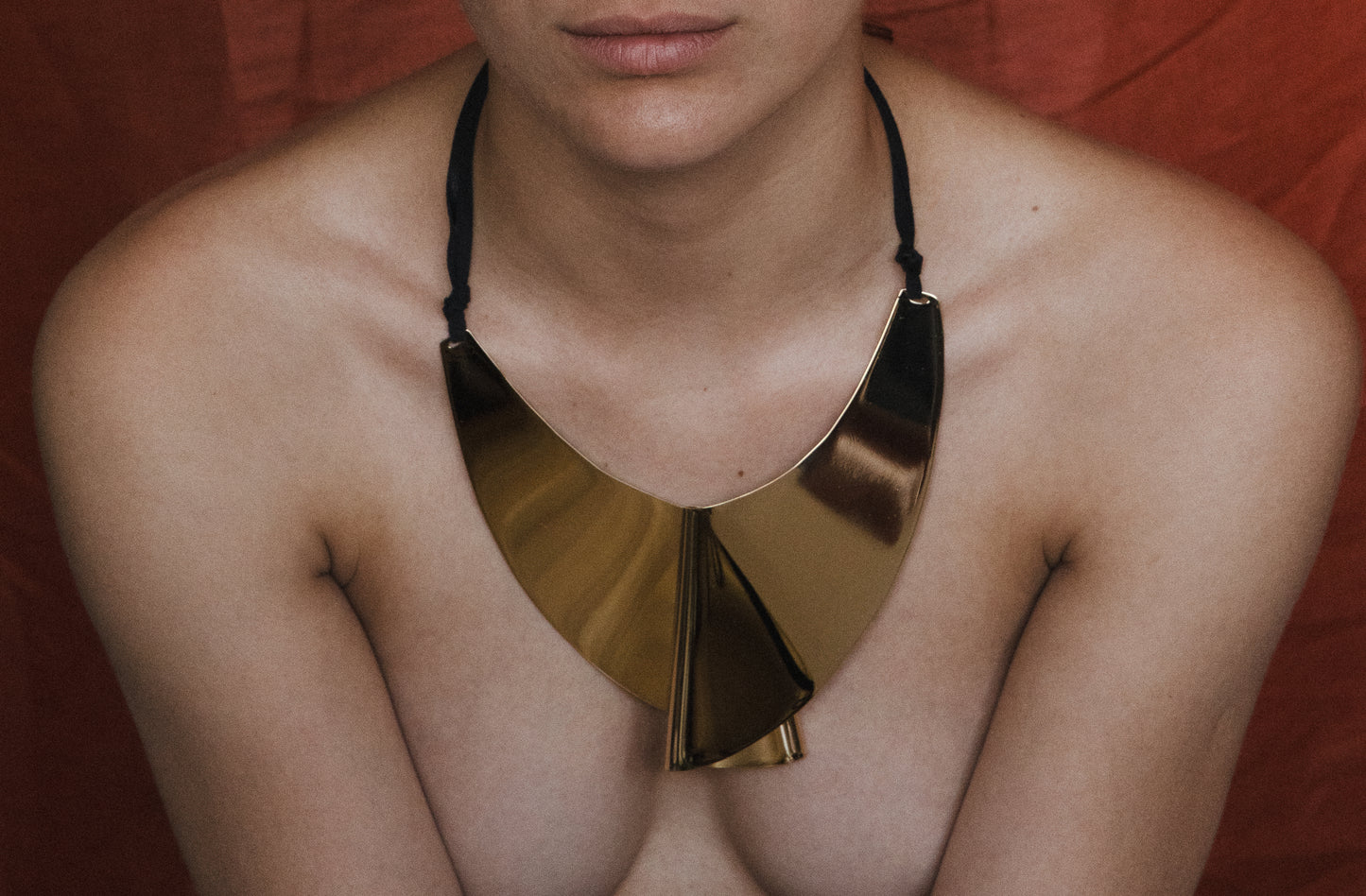 Mr. Finn (Moby Dick) © Necklace – Sculptural Brass Shield Statement