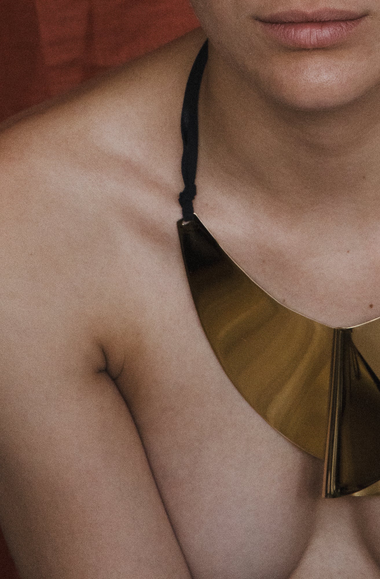 Mr. Finn (Moby Dick) © Necklace – Sculptural Brass Shield Statement